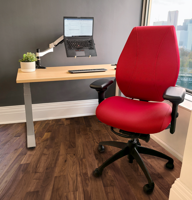 Ergonomicly Sound Workstation Home Office